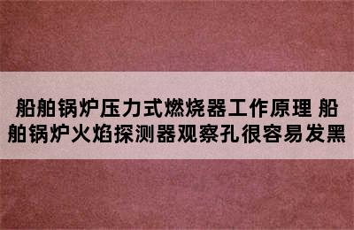 船舶锅炉压力式燃烧器工作原理 船舶锅炉火焰探测器观察孔很容易发黑